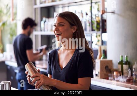 Female Bartender Mixing Cocktail In Shaker Behind Bar Stock Photo