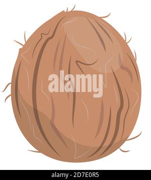 Coconut in cartoon style. Juicy fruit isolated on white background. Stock Vector