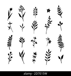 Set of hand drawn illustrations of green leaves, herbs and branches. Botanical clipart. Floral design elements. Perfect for wedding invitations, greet Stock Vector