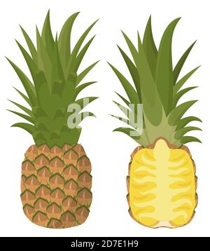 Whole and half pineapple. Juicy fruit in cartoon style. Stock Vector