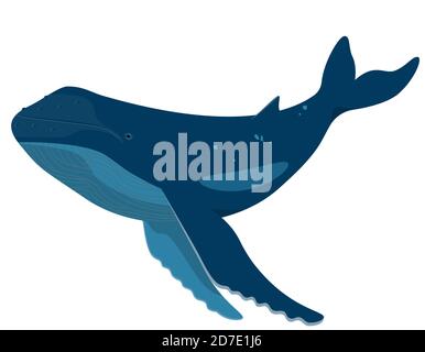 Whale in cartoon style. Sea animal isolated on white background. Stock Vector