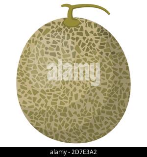 Melon in cartoon style. Juicy fruit isolated on white background. Stock Vector