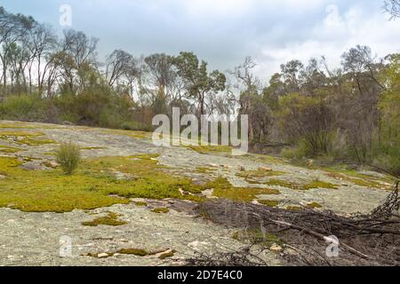 Granite Rock Outcrop east of Pingelly, Western Australia Stock Photo