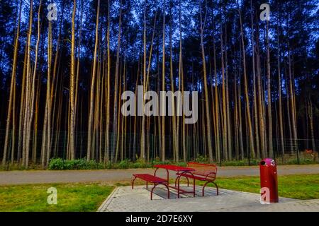 Michendorf, Germany. 20th Oct, 2020. A red garbage can stands in the evening next to red picnic benches and a red picnic table in front of pine trees at the rest area. Credit: Stefan Jaitner/dpa/Alamy Live News Stock Photo