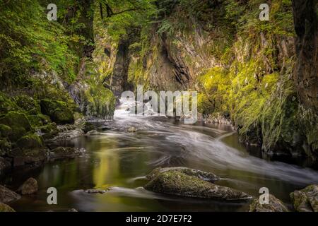 the fairy glen Stock Photo