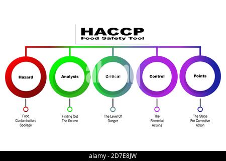 Diagram of HACCP - Food Safety Tool with keywords. EPS 10 Stock Vector