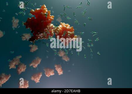 Dopamine is a hormone and a neurotransmitter that plays several important roles in the brain and body. A component of reward-motivated behavior. Stock Photo