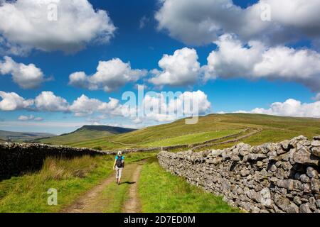 A woman walking on the Pennine Way up Great Shunner Fell above Hawes, Yorkshire Dales, UK. Stock Photo