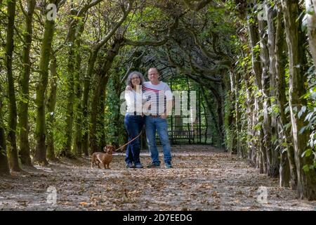 Smiling mature multicultural couple standing with their dachshund on a path with dry leaves, under a tunnel formed by tree branches with green leaves Stock Photo