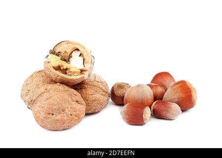 Hazelnuts and walnuts isolated on white background. Stock Photo