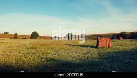 Hay stacks on green meadow at sunset Stock Photo