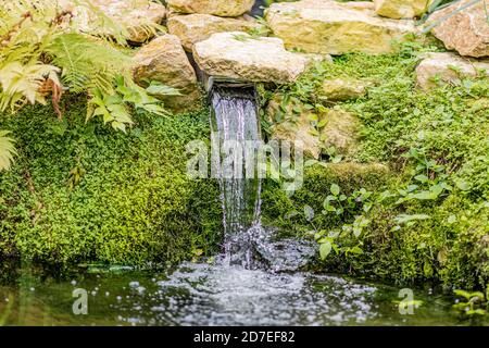 Water coming out between the rocks with moss and lush green vegetation forming a small waterfall that falls on a pond with the sunlight reflecting on Stock Photo