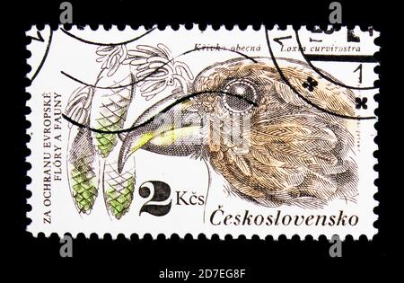 MOSCOW, RUSSIA - NOVEMBER 26, 2017: A stamp printed in Czechoslovakia shows Red Crossbill (Loxia curvirostra), Spruce Branch, Protection of Nature ser Stock Photo