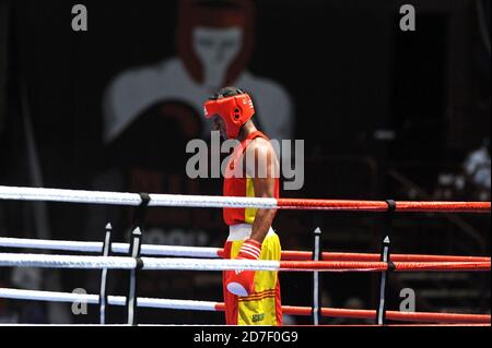 Boxer's concentration before to start anamateur boxing match during the AIBA World Boxing Champioship in Milan 2009. Stock Photo