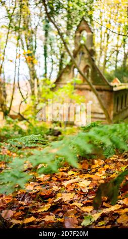 The derelict victorian school in Bedham woods near Petworth in West Sussex, England, UK Stock Photo