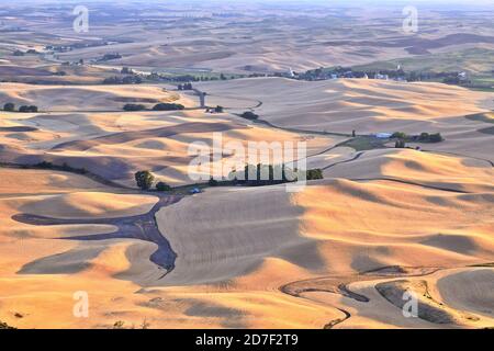 Palouse Wheat Fields in Autumn, Washington-USA Stock Photo