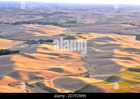 Palouse Wheat Fields in Autumn, Washington-USA Stock Photo