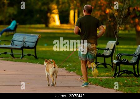 A young athletic caucasian man wearing short, t-shirt and sneakers is running in the park alongside his dog that is on leash. It is a sunset scene wit Stock Photo