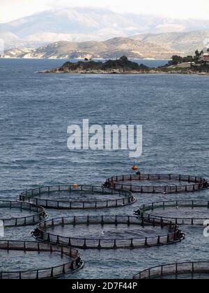 Fish Farm, Near Kassiopi, Corfu, Greece Stock Photo - Alamy