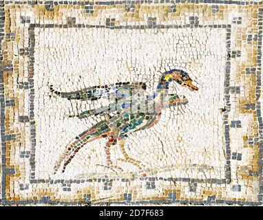 Ancient roman mosaic representing a duck Stock Photo