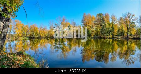 Golden foliage of fall trees around the lake reflected in blue water - autumn picturesque landscape at warm sunny september weather with clear blue sk Stock Photo