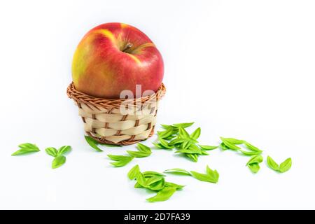 Beautiful composition red apple with petals, decoration, on a white isolated background Stock Photo