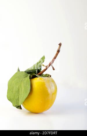 Fresh persimmons on white background Stock Photo