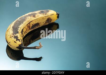 Spotted brown banana with mold on black mirror background Stock Photo