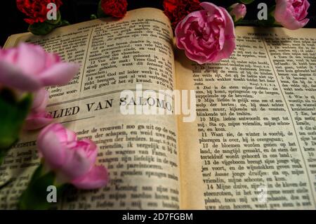 Close up of the Song of Solomon in a Dutch Bible Stock Photo