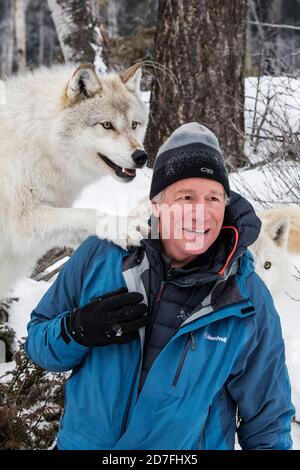 Beautiful Two White Couple Wolf Closeup Face Stock Photo - Alamy