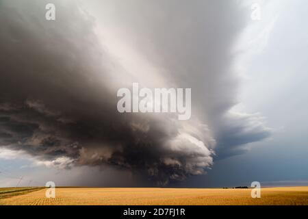 Dramatic clouds over a wheat field as a supercell storm approaches Hanston, Kansas Stock Photo