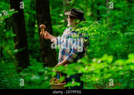 Picking mushrooms. Grandpa Pensioner. Senior hiking in forest. Happy Grandfather. Gathering Wild Mushrooms. Stock Photo