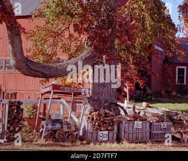 A vintage looking scene of firewood for sale outside a classic roadside stand in New Hampshire. A bright red barn fills the background while cut firew Stock Photo