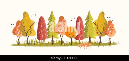 Forest woodland in autumn with colourful trees and leaves. Vector illustration. Stock Vector