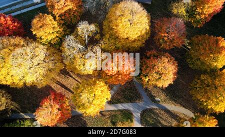 Beautiful and Colourful McKillop Park In London Ontario Canada in the fall of 2020. Luke Durda/Alamy Stock Photo