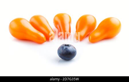 Five small ripe orange grape tomatoes and a single blueberry isolated on white background. side view, close up. contrast and diversity concept. Stock Photo