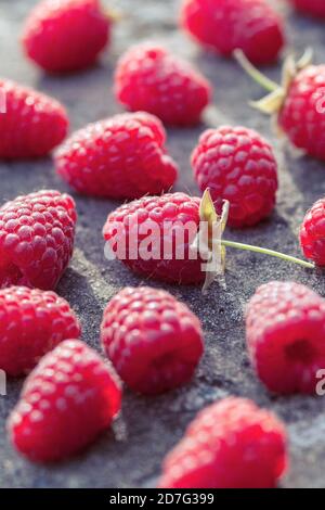 selected raspberries arranged on stone table, vertical food background Stock Photo