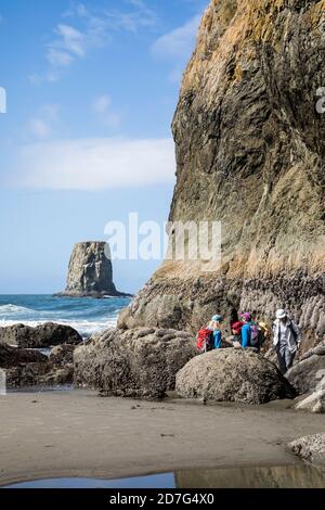 A small group of adults observing the tidal pools in and around the sea stack rocks off the coast at 2nd beach, Olympic National Marine sanctuary and