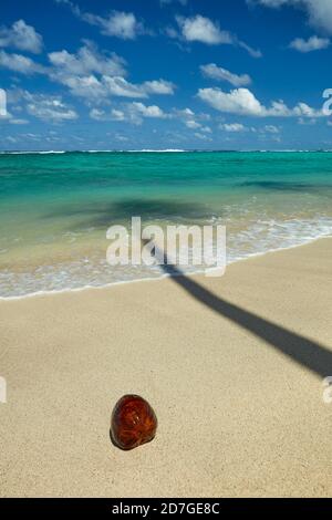 Coconut and palm shadow on beach and Pacific Ocean, Rarotonga, Cook Islands, South Pacific Stock Photo