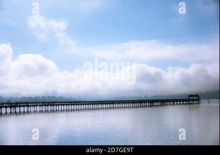 Wooden boardwalk over the Nisqually Delta in Washington State Stock Photo