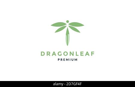 animal insect dragonflies leaf green plant logo vector illustration design Stock Vector