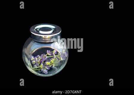 Lavender flowers in a glass jar with a metal lid on a black background. Selective focus. Copy space. Stock Photo