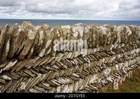 Traditional Cornish drystone walls near Boscastle, Cornwall, UK. Stock Photo