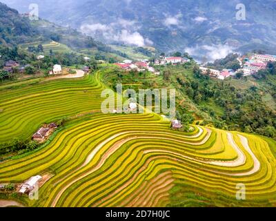 See the beautiful scenery of the rice terraces during the ripe rice season in Phung village, Hoang Su Phi district, Ha Giang province, Vietnam from ab Stock Photo