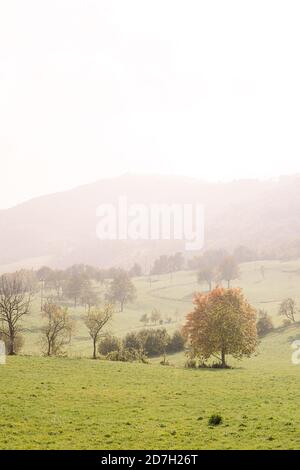 View from the hills of Valpolicella, near Verona, in the North of Italy on a sunny day of Autumn Stock Photo