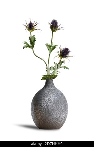 Modern ceramic vase with thistle flower isolated on white background Stock Photo