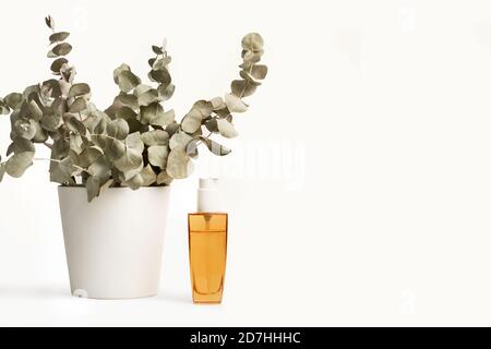 Branches with eucalyptus leaves and a bottle of essential oil on a white background Stock Photo