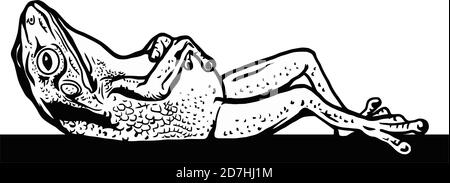 Lazy frog who sleep - Hand drawn in a graphic style. Vintage vector engraving illustration for label, poster, logotype. Isolated on white Stock Vector
