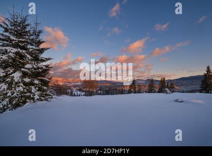 Alpine village outskirts in last evening sunset sun light. Winter snowy hills and fir trees. Stock Photo