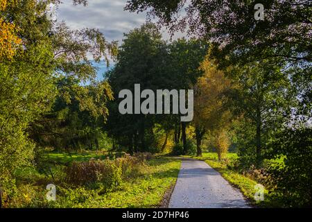 in the  evening sunlight the light has a certain magic after the rain Stock Photo